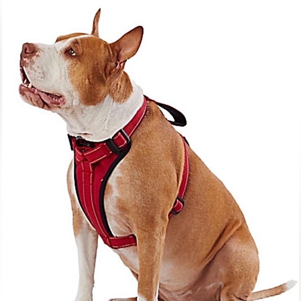 🆕 KONG® MAX Neoprene Padded Dog Harness